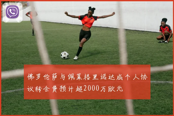 佛罗伦萨与佩莱格里诺达成个人协议转会费预计超2000万欧元