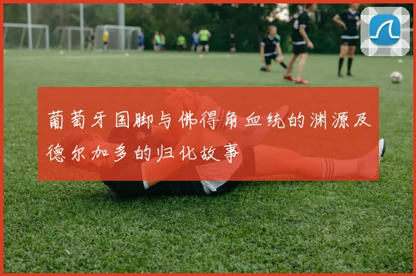 葡萄牙国脚与佛得角血统的渊源及德尔加多的归化故事